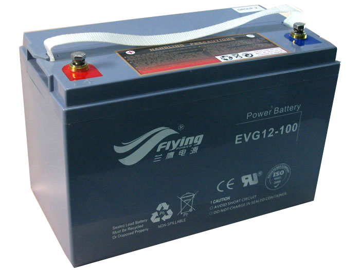 EVG12-100